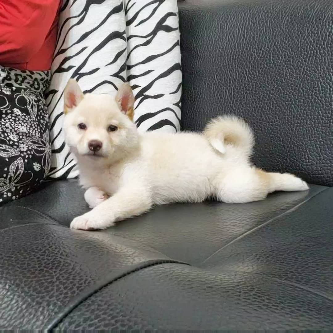 Baby Mädchen